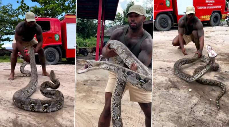 Snake Viral Video