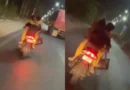 couple kiss on bike