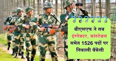 bsf sub inspector job