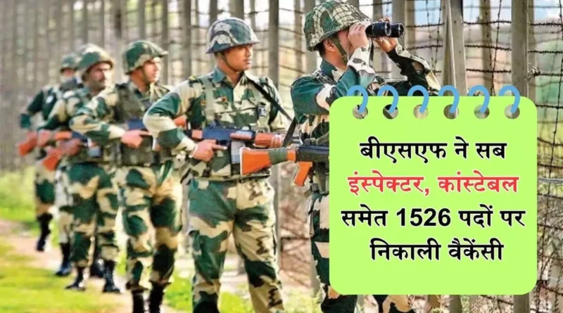 bsf sub inspector job