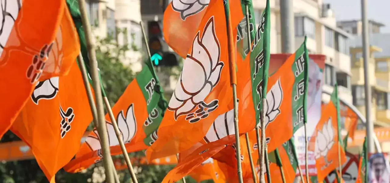 bjp stick