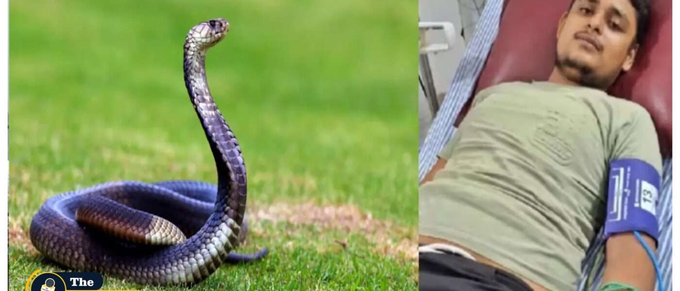 Snake biting Vikas Dwivedi 7 times