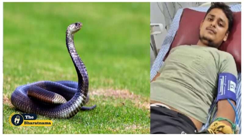 Snake biting Vikas Dwivedi 7 times