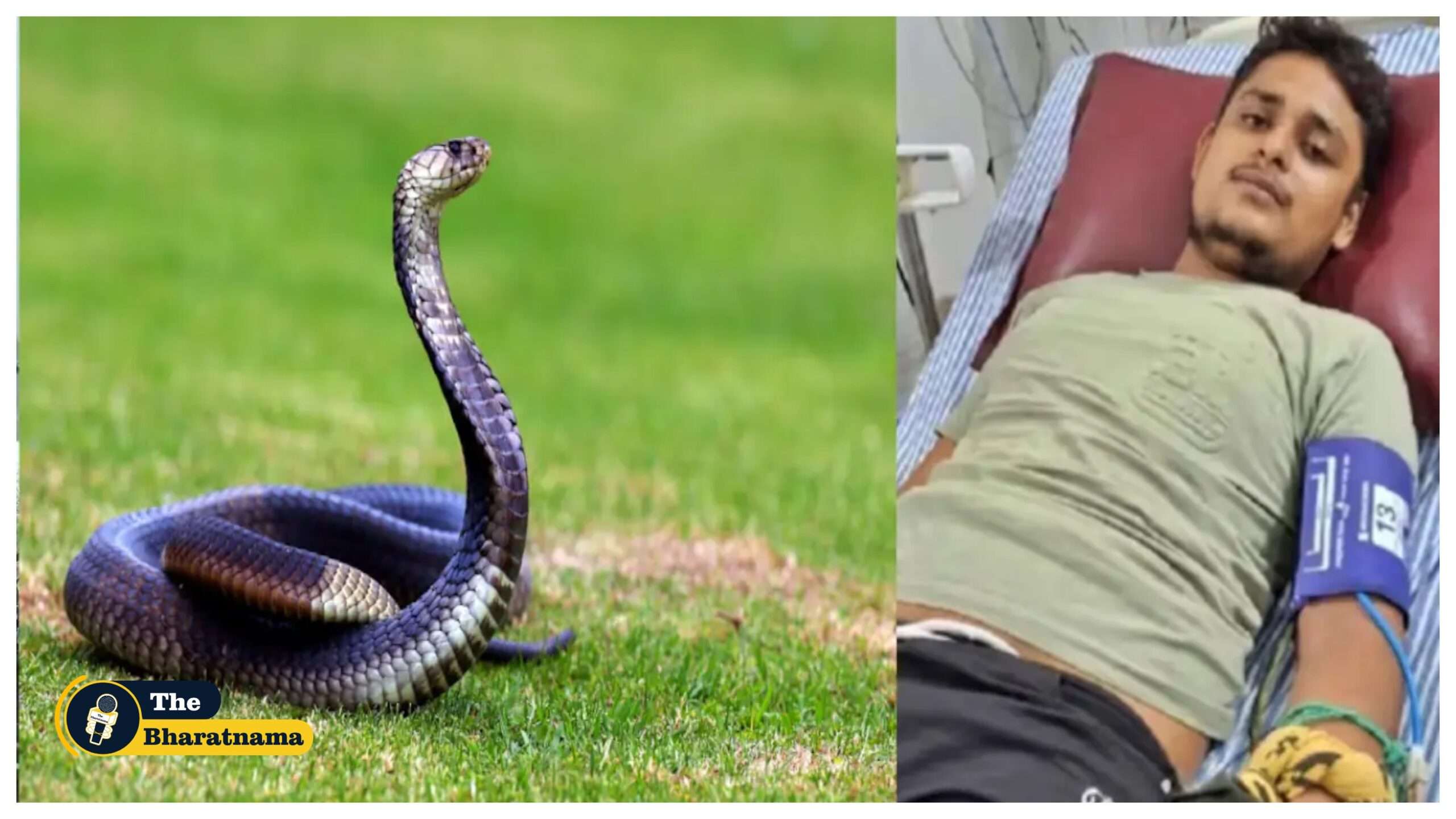 Snake biting Vikas Dwivedi 7 times