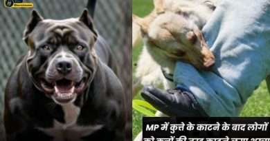 MP Dog Attack viral news