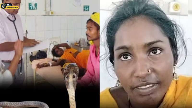 Woman Fed Milk To Snake