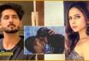 Sargun Mehta and Ravi Dubey