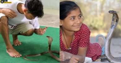 Snakes Village Of India