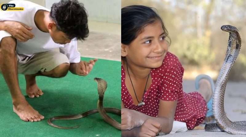 Snakes Village Of India