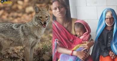 Bihar Muzaffarpur Jackal Attack