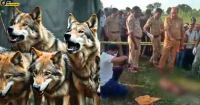 Wolf Attack in Bahraich